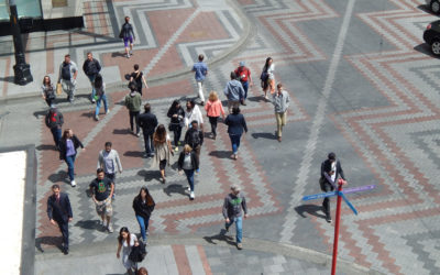 Dispatch from Olympia: One Week Left!